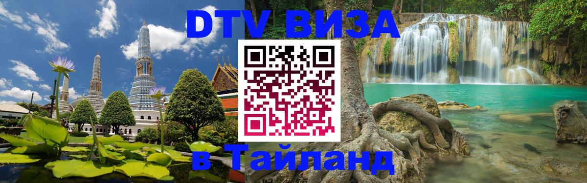 Сколько стоит DTV виза — актуальные цены, оформление даже без документов - Благовещенск 